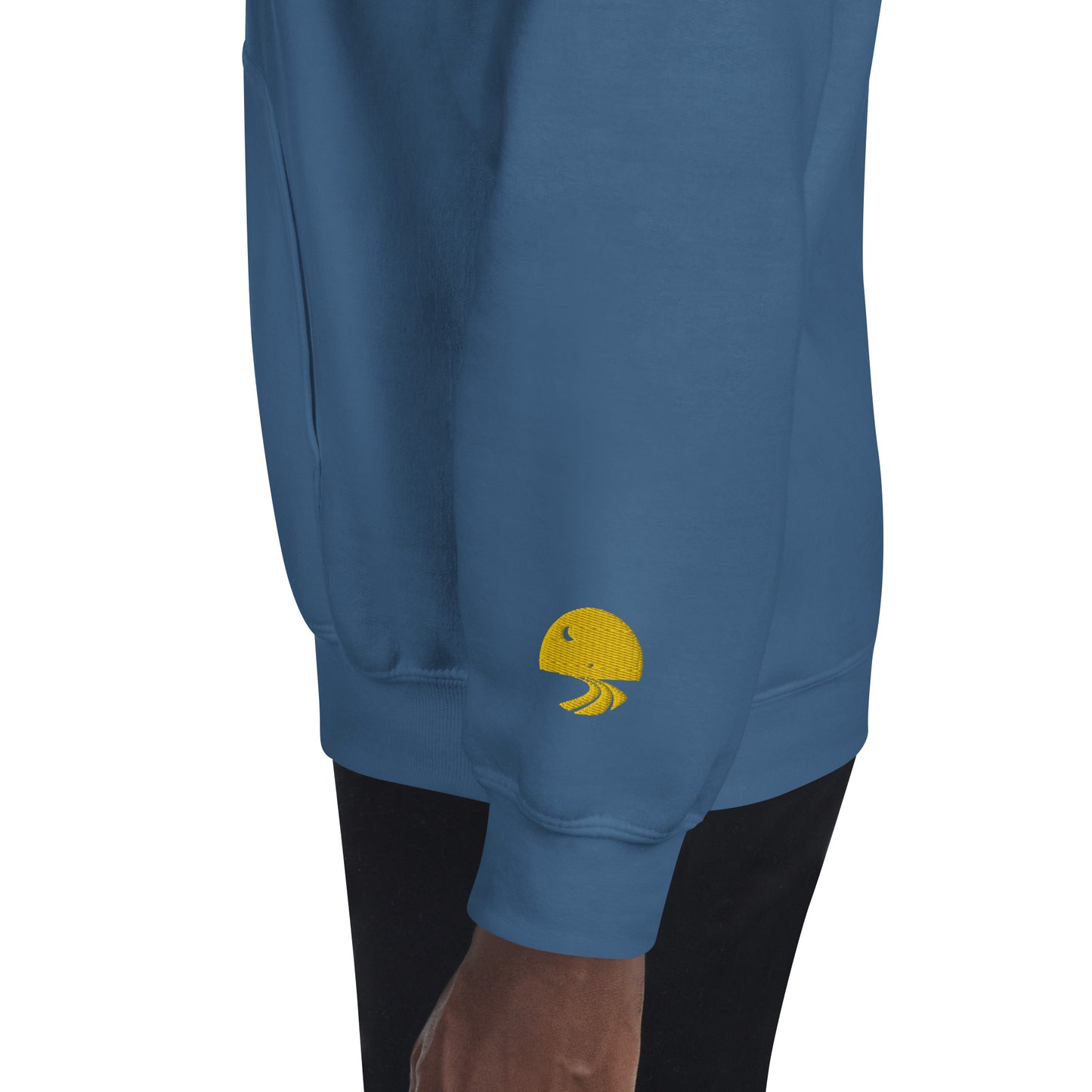 DWTC Embroidered Adult Hoodie