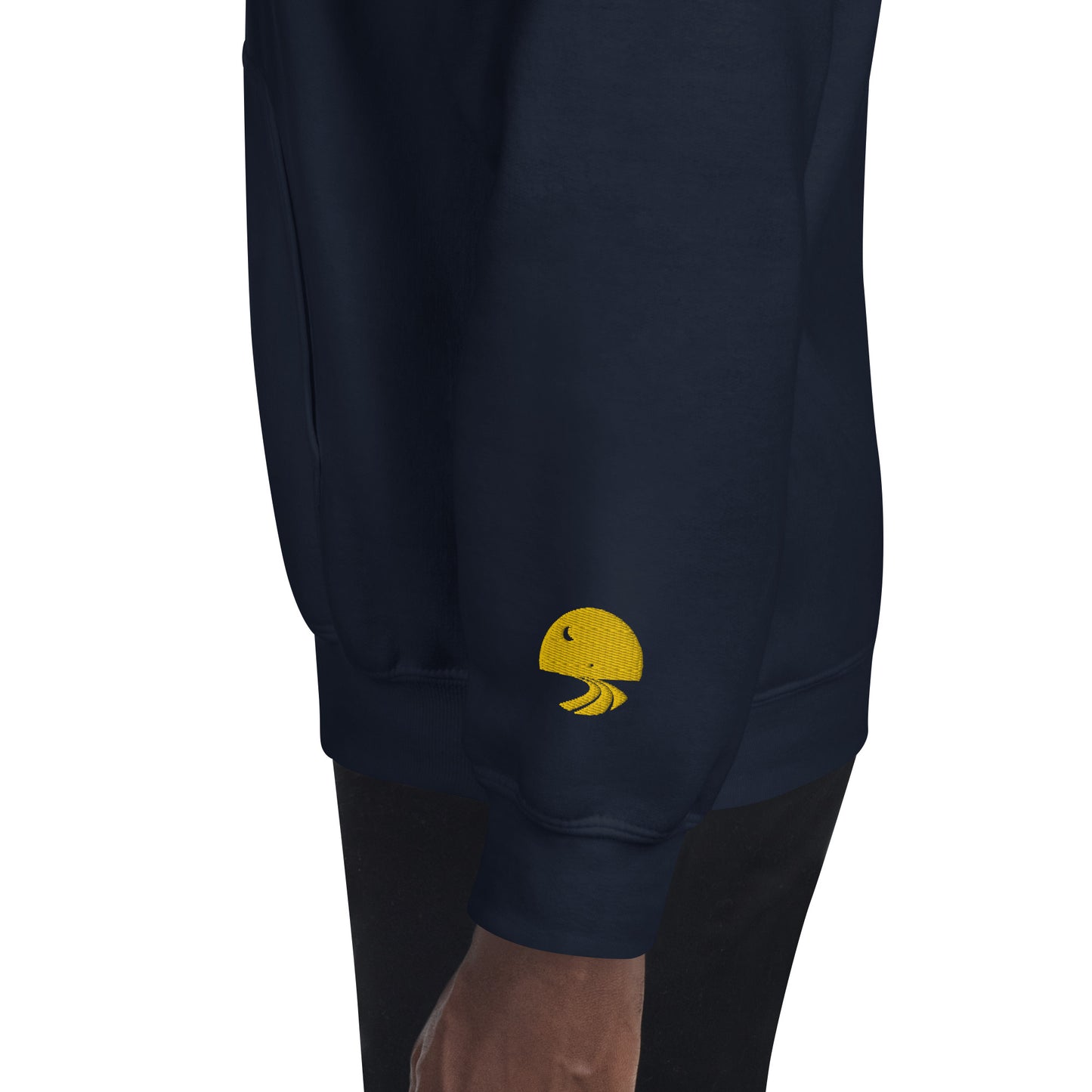 DWTC Embroidered Adult Hoodie